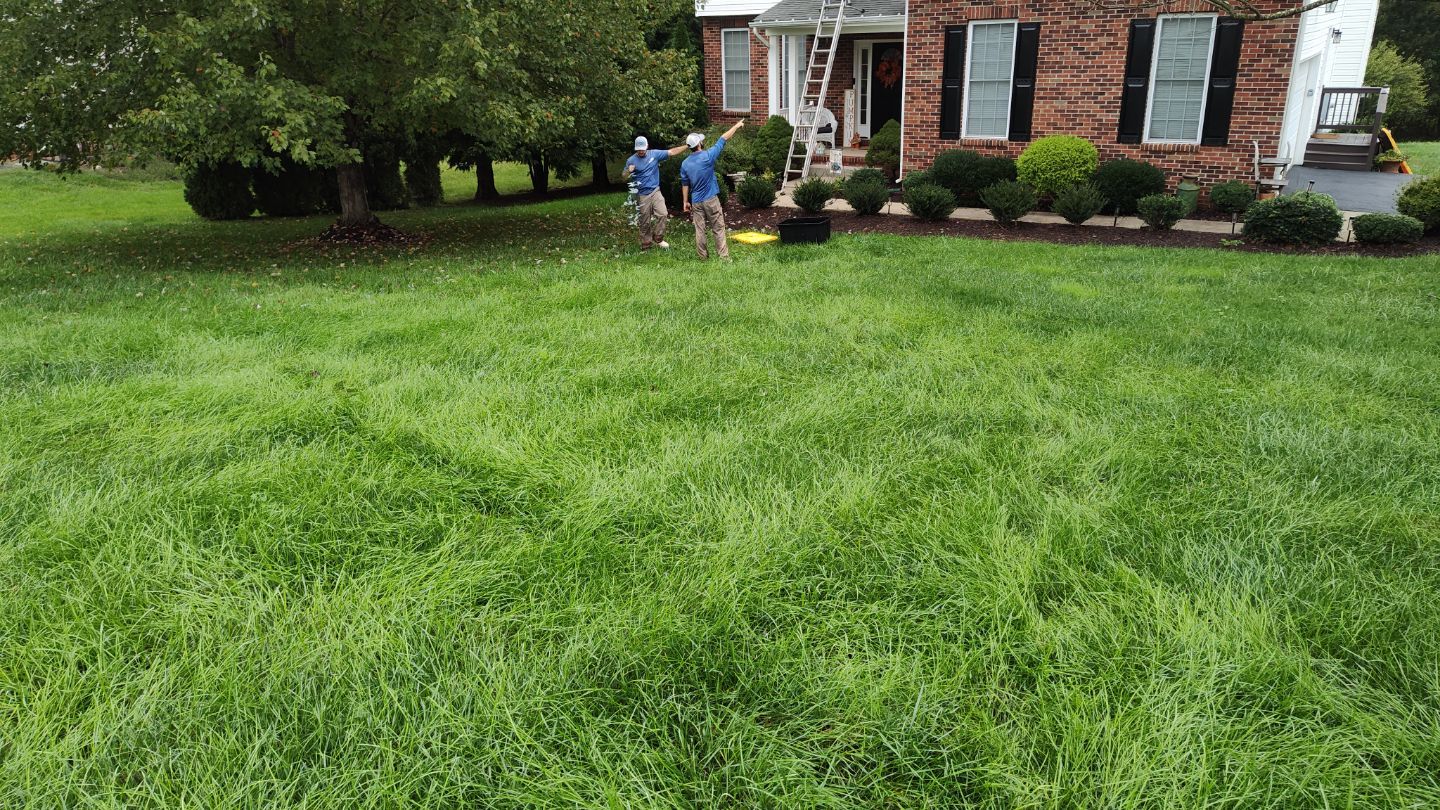 Ruckersville, VA Christmas Lights Installation by Dr. Powerwash